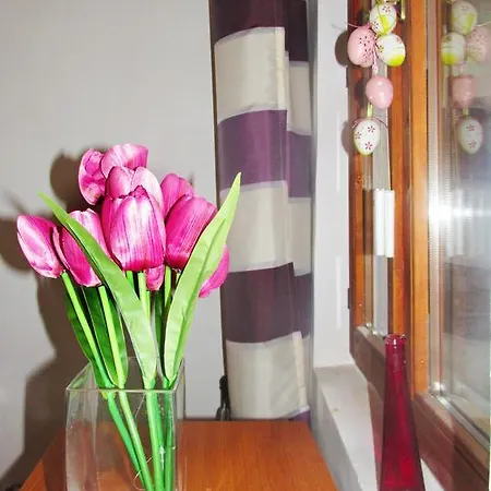 Apartmán Johara Apartman Budapešť