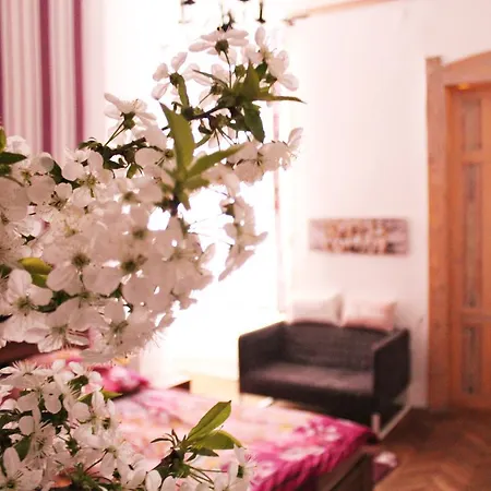Apartmán Johara Apartman